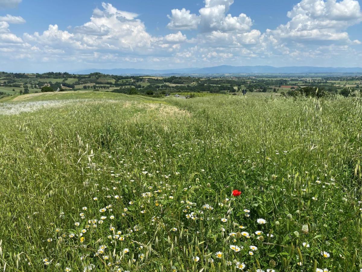 Agriturismo La Collina Villa Siena Kültér fotó