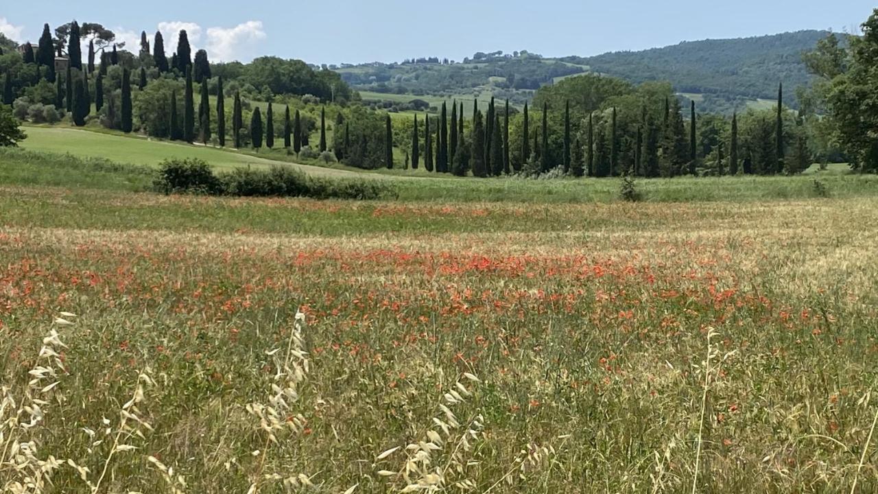 Agriturismo La Collina Villa Siena Kültér fotó