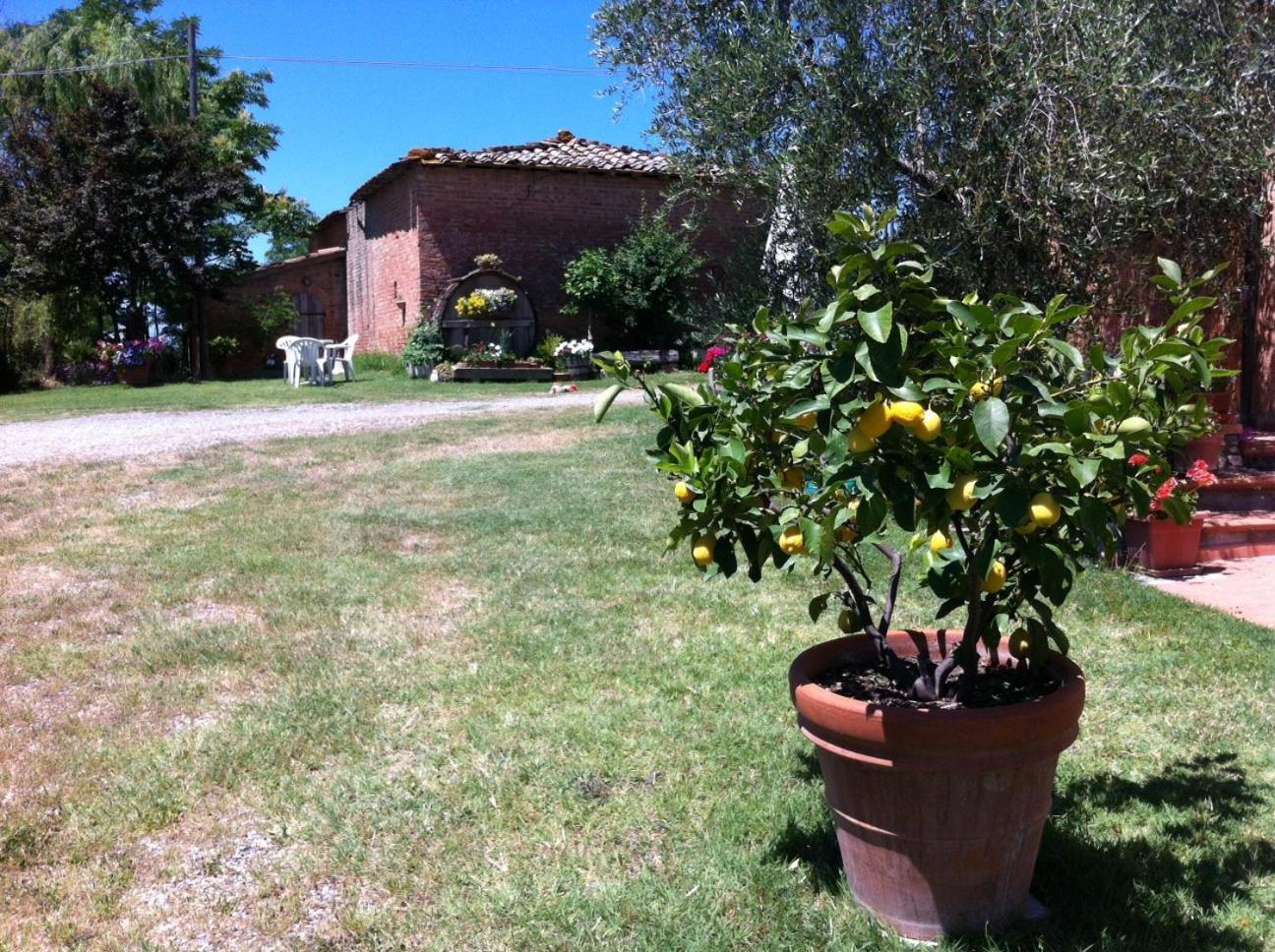 Agriturismo La Collina Villa Siena Kültér fotó